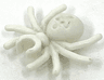 Spider with Round Abdomen and Clip