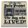 Tile 2 x 2 with Newspaper, 'the Daily Prophet', 'EXCLUSIVE HARRY POTTER', 'The Boy who LIVED!', and Image of Boy with Glasses Pattern
