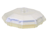 Rock 4 x 4 Octagonal, Bottom (Diamond Dress Container Top)