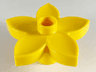 Duplo, Plant Flower with Stud