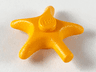 Starfish / Sea Star
