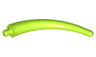 Dinosaur Tail End Section / Horn
