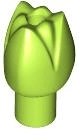 Plant Flower Tulip with Bar and Small Pin Hole