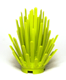 Plant Prickly Bush 2 x 2 x 4