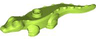 Alligator / Crocodile Baby Hatchling