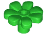 Plant Flower with Bar and Small Pin Hole