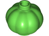 Pumpkin / Gourd