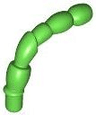 Antenna, Insect