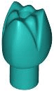 Plant Flower Tulip with Bar and Small Pin Hole
