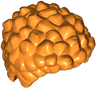Minifigure, Hair Coiled and Short