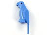 Bird, Parrot with Small Beak