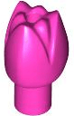 Plant Flower Tulip with Bar and Small Pin Hole