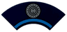 Tile, Round Corner 2 x 2 Macaroni with Dark Azure Curved Stripe and Silver Fuel Filler Cap Pattern