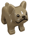 Dog, French Bulldog with Black Eyes, Nose and Whisker Dots, White Spot on Forehead Pattern