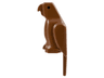 Bird, Parrot with Small Beak