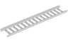 Ladder 16 x 2 1/2 with 15 Rungs