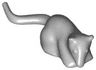 Rat / Mouse