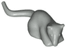 Rat / Mouse