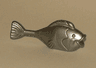 Duplo Fish with Thin Tail and Large Tail Fin