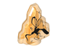 Rock 1 x 2 Crystal Stepped with Black Mosquito Pattern (Dinosaur DNA)