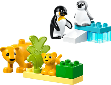 Wild Animal Families: Penguins & Lions