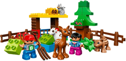 Forest: Animals