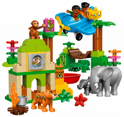Jungle