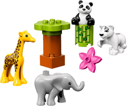 Baby Animals