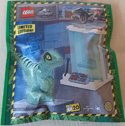 Raptor with Incubator paper bag