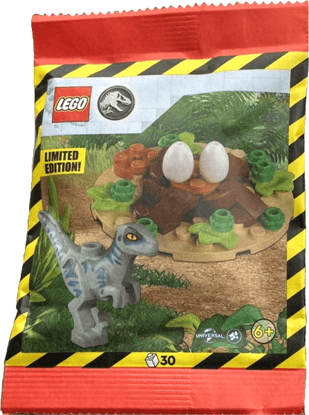 LEGO Raptor with Nest paper bag (122402-1) set, 2024