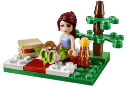 Summer Picnic polybag