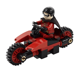 Robin and Redbird Cycle polybag
