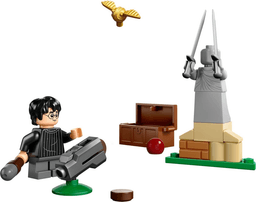 Quidditch Lesson paper bag / polybag