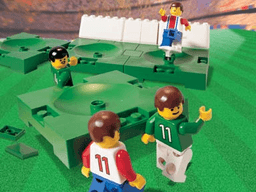 Field Expansion Set