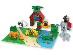 Wildlife Animals
