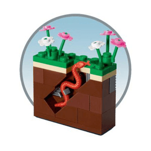 LEGO Monthly Mini Model Build Set - 2012 03 March, Garden and Earthworm polybag (40038-1) set, 2012