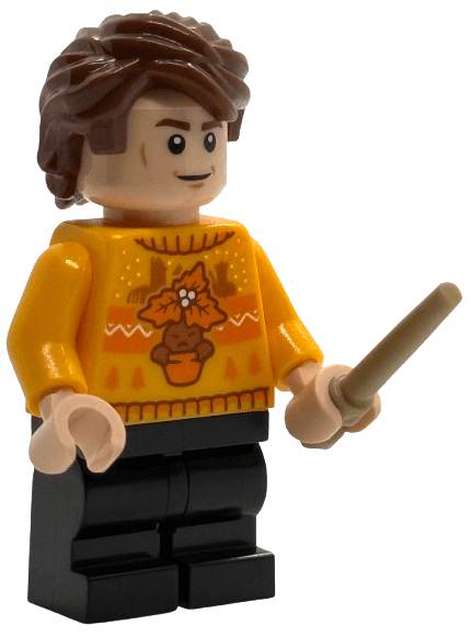 LEGO Advent Calendar 2025, Harry Potter (Day 22) - Cedric Diggory (76456-23) set, 2025