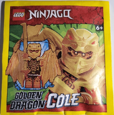 LEGO Golden Dragon Cole paper bag (892304-1) set, 2023