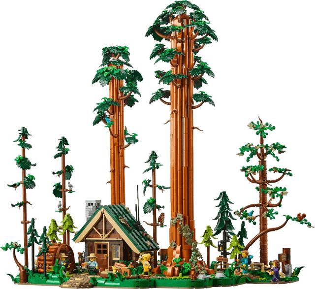 LEGO Sequoia Tree Trail (910058-1) set, 2026