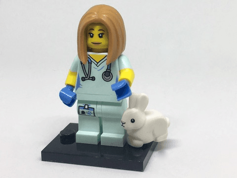 LEGO Veterinarian, Series 17 (Complete Set with Stand and Accessories) (col17-5) set, 2017