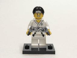 Martial Arts Boy, Series 20 (Complete Set with Stand and Accessories)