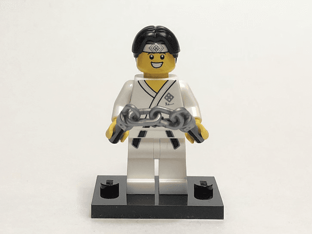 LEGO Martial Arts Boy, Series 20 (Complete Set with Stand and Accessories) (col20-10) set, 2020