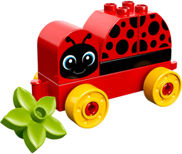 My First Ladybug