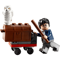 Trolley polybag
