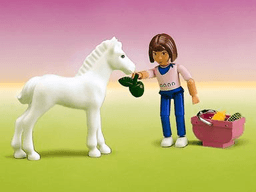 Jennifer and Foal blister pack