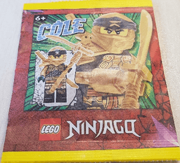 Cole paper bag #1