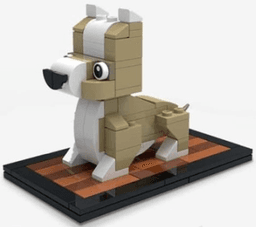 Welsh Corgi